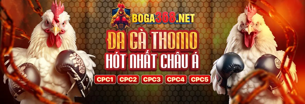 Sòng bạc trực tuyến Viva88