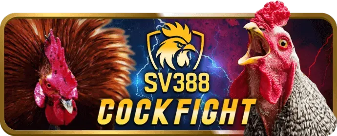 Cá cược bóng rổ, tennis, E-sports tại Viva88